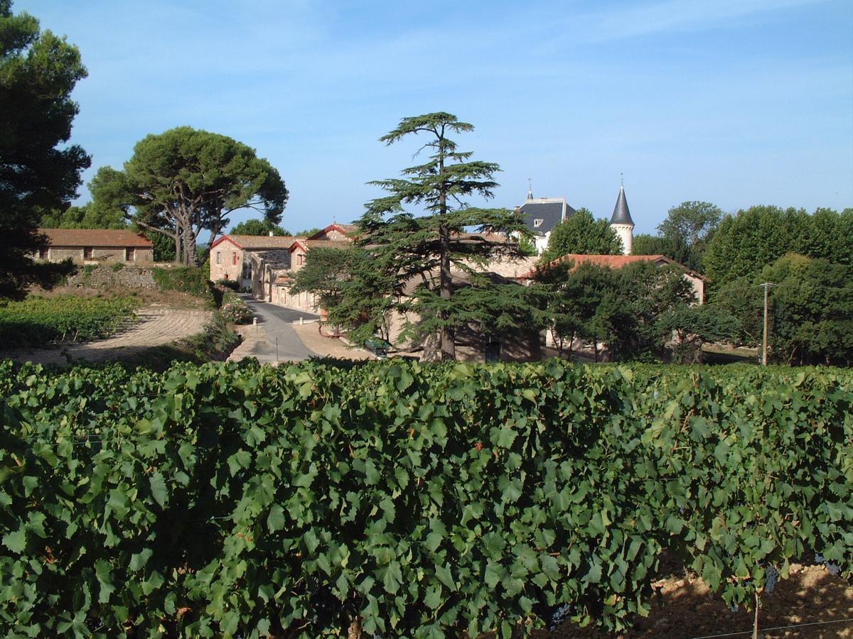 Chateau Saint Martin De Graves Aumes Eksteriør billede