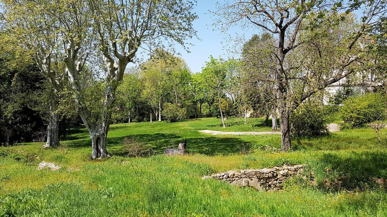 Chateau Saint Martin De Graves Aumes Eksteriør billede